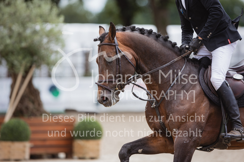 220705_Mühlen_SprPf-L1-499 | Late Entry Mühlen
05.07.2022
04 Springpferde-L, 5-7jährige Pferde