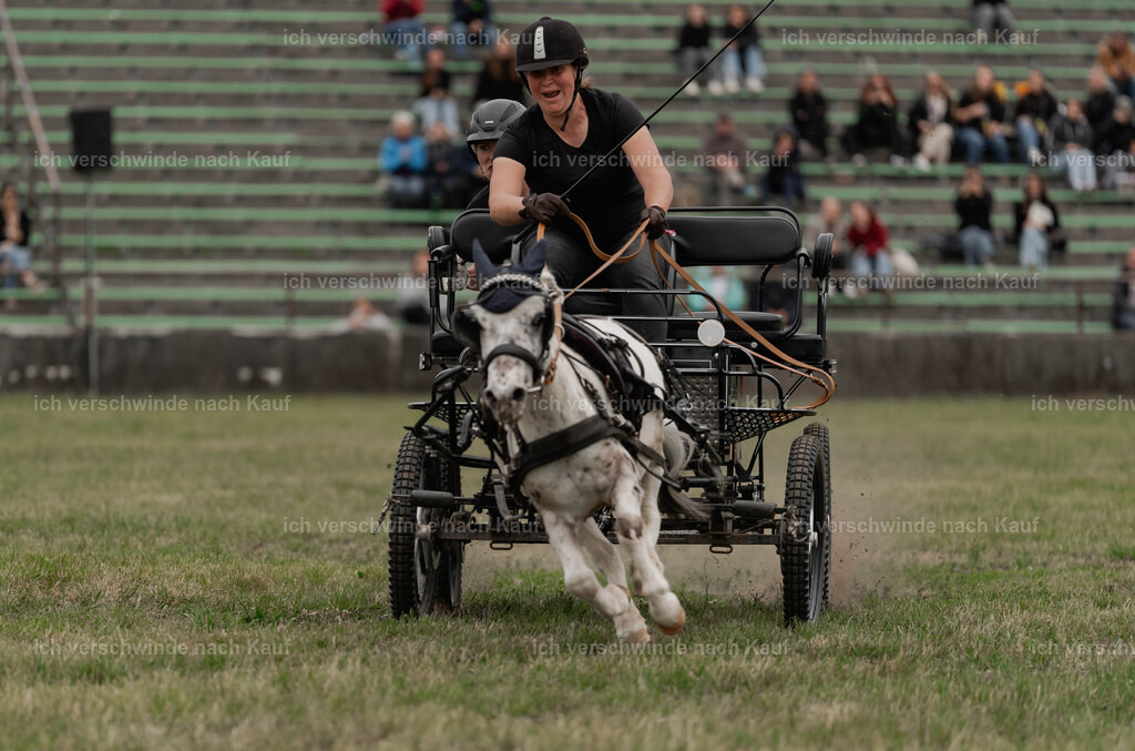 Showprogramm-508 | working equitationturnier fotograf videograf stoibphotography marixx film working equitation deutschland reitsport turnierfotografie eventfotografie equestrian events
