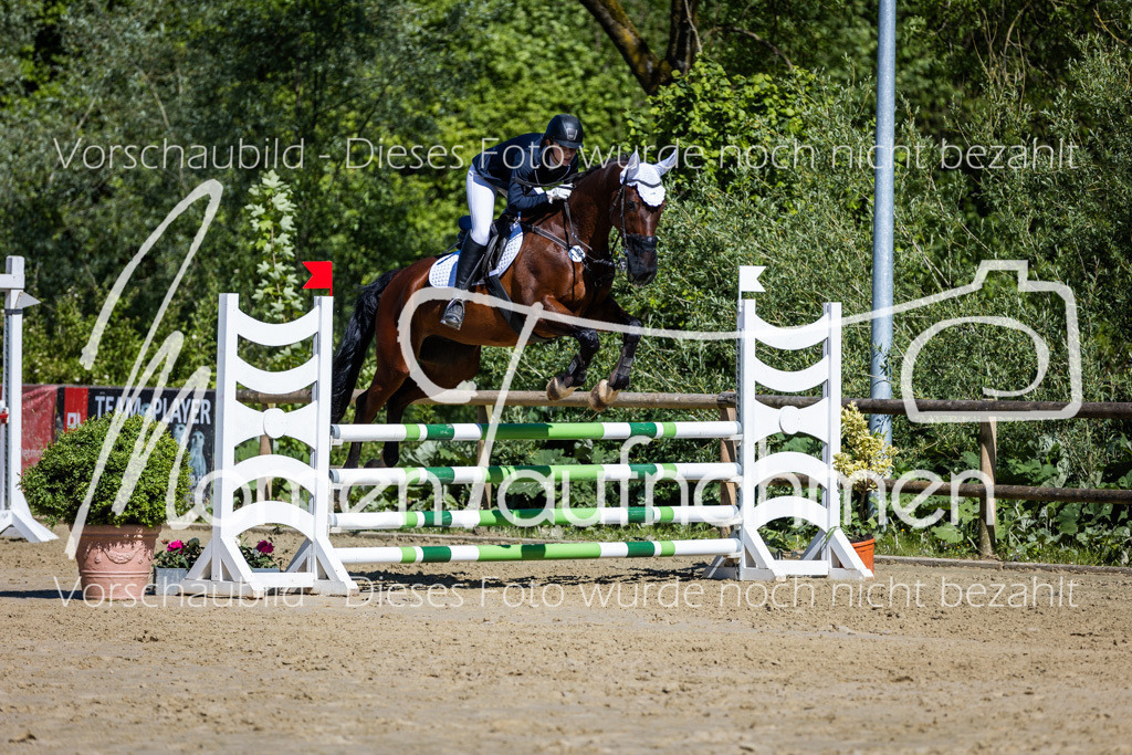 Donop24-A2Spr-151 | MomenTaufnahmen Pferdesportfotos