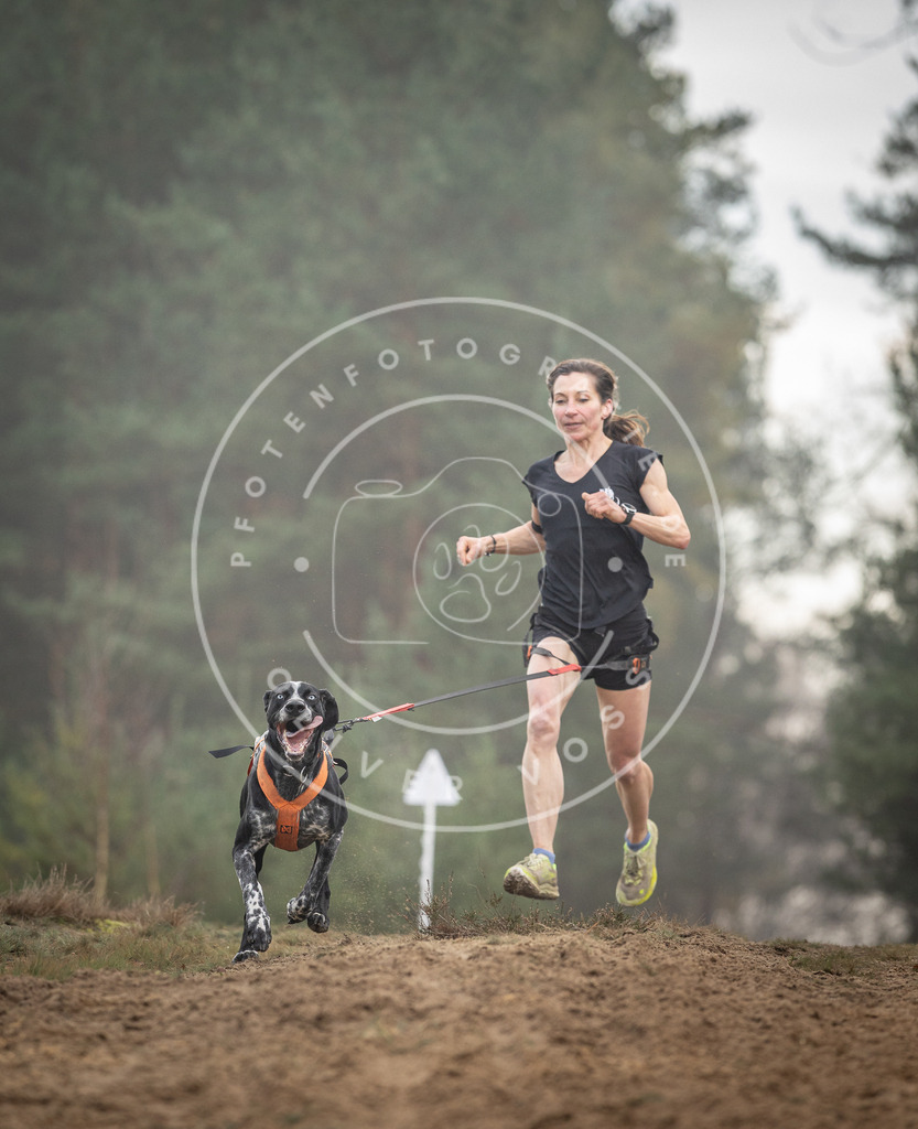 Pfotenfotografie_DV3A5710 | Hundefotografie, Tierfotograf, Pfotenfotografie, Fotoshooting Hund, Hunde Portrait, Hundesport, Hundeportraits, Heideshooting, Hunde, Sportfotograf, Hundefotograf, Turnierhundsport, THS,  - Realisiert mit Pictrs.com