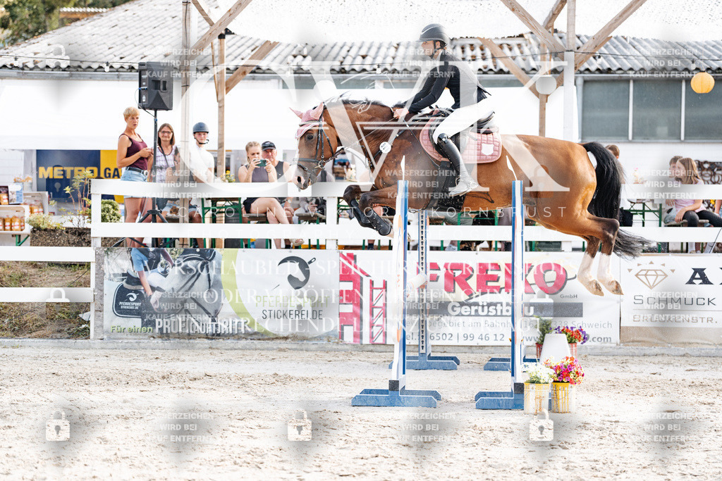 CK906804 | Turnierfotografie Pferdefotografie Trier Rheinland-Pfalz Pferdesport Reitsport Tierfotografie Sportfotografie Pferdevideo Pferdevideografie Equestrianvideography equestrianphotography  - Realisiert mit Pictrs.com