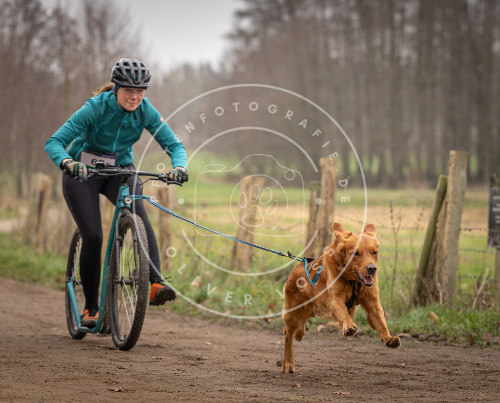 Pfotenfotografie_DV3A3267 | Hundefotografie, Tierfotograf, Pfotenfotografie, Fotoshooting Hund, Hunde Portrait, Hundesport, Hundeportraits, Heideshooting, Hunde, Sportfotograf, Hundefotograf, Turnierhundsport, THS,  - Realisiert mit Pictrs.com