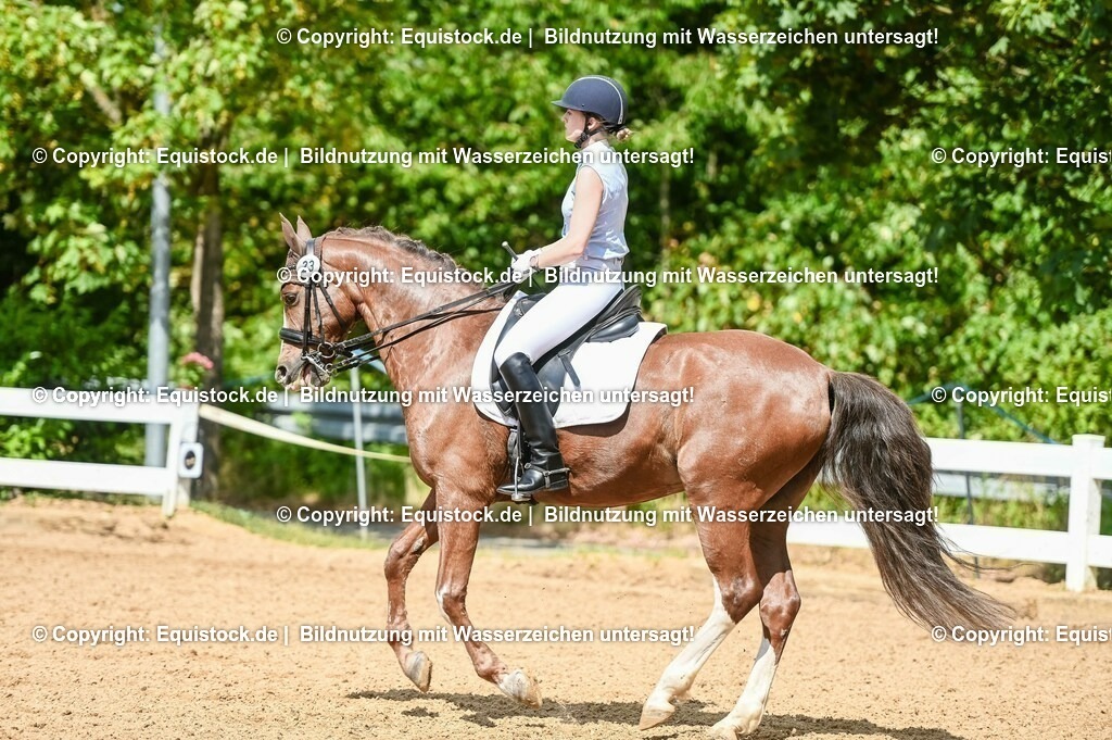 20230716_01_Dressurprüfung Kl.M_0261 | equistock