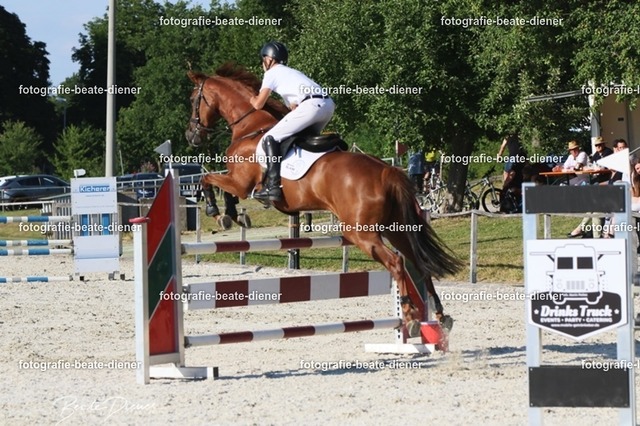 OHT 2022 Röhlingen (149) | Fotografie, Tiere, Hunde, Katzen, Pferde, Sportfotografie, Fotosession, Tierfotografie, Turnierfotografie, Fotografin, Fotograf - Realisiert mit Pictrs.com