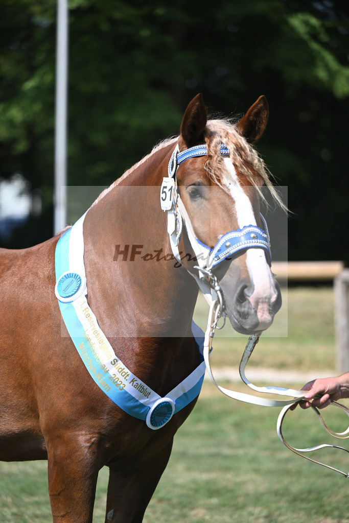 Kat-Nr. 51 Finesse G_Grandauer_20231336 | hf-fotografie - Realisiert mit Pictrs.com