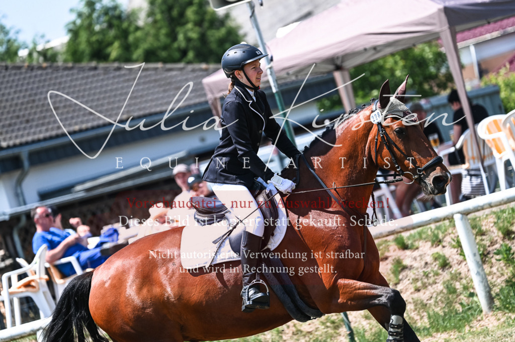 DSC_9891 | Pferde- und Turnierfotografie in Westsachsen. Pferdeportraits, Auftragszeichnungen und intuitive Kunst.