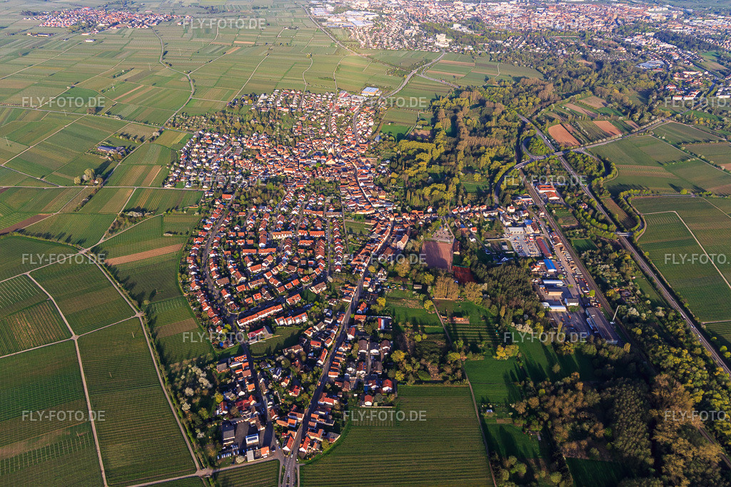 Ortsansicht im Frühjahr aus Westen | Luftbild: Ortsansicht im Frühjahr aus Westen im Ortsteil Godramstein in Landau im Bundesland Rheinland-Pfalz in Deutschland. Foto: IMG_106568.jpg vom 17.04.2018 durch Werner Riehm/FLY-FOTO.de - Realisiert mit Pictrs.com