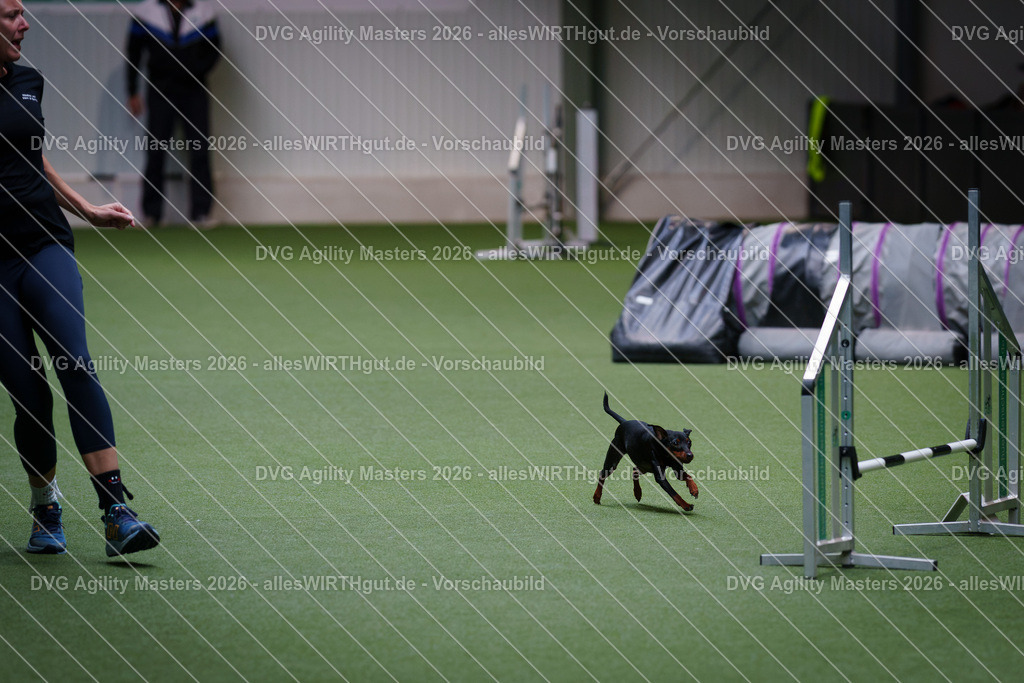 allesWIRTHgut_Tierfotografie-DVG_Agility_Masters_2026-12_15-7R507734 | Professionelle Tierfotografie in Mönchengladbach von Daniel Wirth (allesWIRTHgut). Liebevolle & natürliche Bilder von Hunden & Katzen für unvergessliche Erinnerungen.