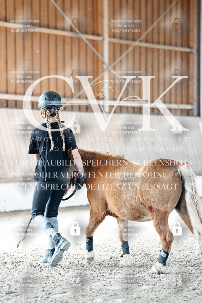 CK905247 | Turnierfotografie Pferdefotografie Trier Rheinland-Pfalz Pferdesport Reitsport Tierfotografie Sportfotografie Pferdevideo Pferdevideografie Equestrianvideography equestrianphotography  - Realisiert mit Pictrs.com