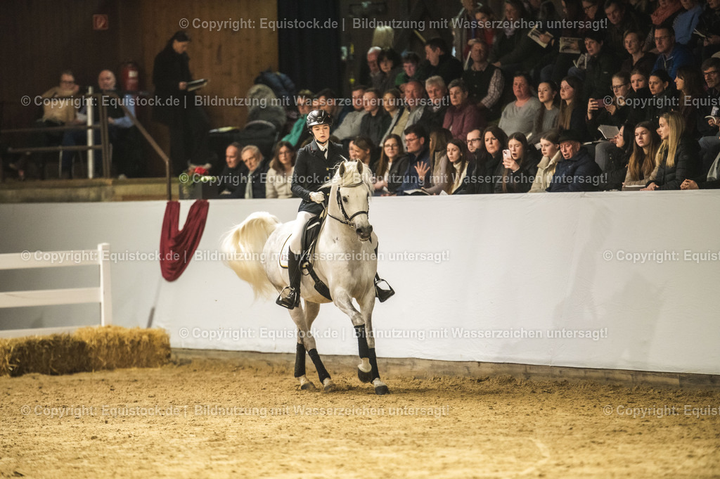 20240302_Hengstvorstellung_Marbach_TOMsPiC_1017 | equistock