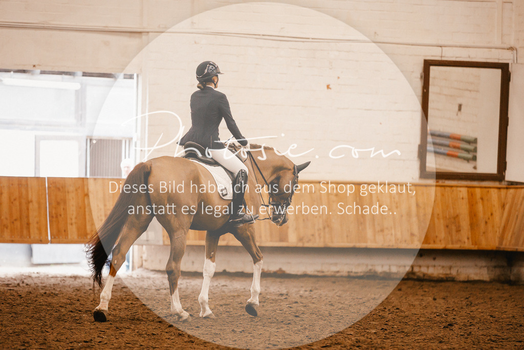 3I6A2532 | Stimmungsvolle Portraits und Reitsportfotografie im Ruhrgebiet und im Münsterland.

Pferdefotografie, Hundefotografie, Tierfotografie, Reportagen, Portraits von Tier und Mensch, Turnierfotografie in Bochum, Recklinghausen, Marl, Haltern am See, Dülmen.. - Realisiert mit Pictrs.com