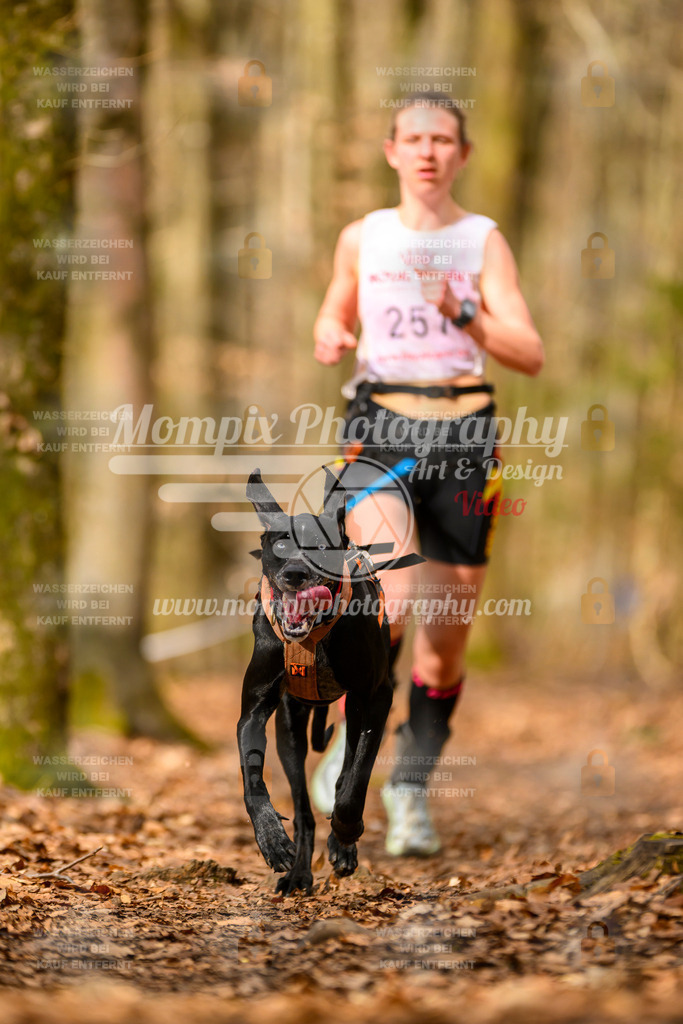 MompixPhotography_Habay2025_SA_CCC-1 | PayLife