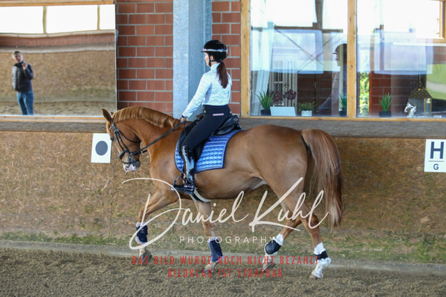 DKP42187 | Turniersportfotografie; Pferdefotografie; Dressurfotografie