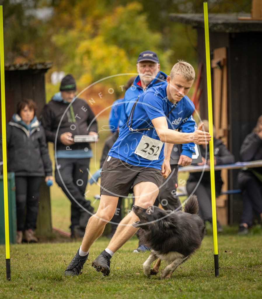 Pfotenfotografie_DV3A6150 | Hundefotografie, Tierfotograf, Pfotenfotografie, Fotoshooting Hund, Hunde Portrait, Hundesport, Hundeportraits, Heideshooting, Hunde, Sportfotograf, Hundefotograf, Turnierhundsport, THS,  - Realisiert mit Pictrs.com