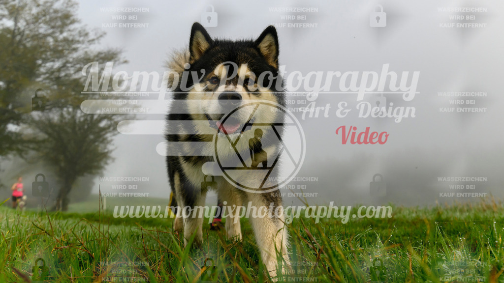 MompixPhotography_20TSB_E5_Run-5 | PayLife