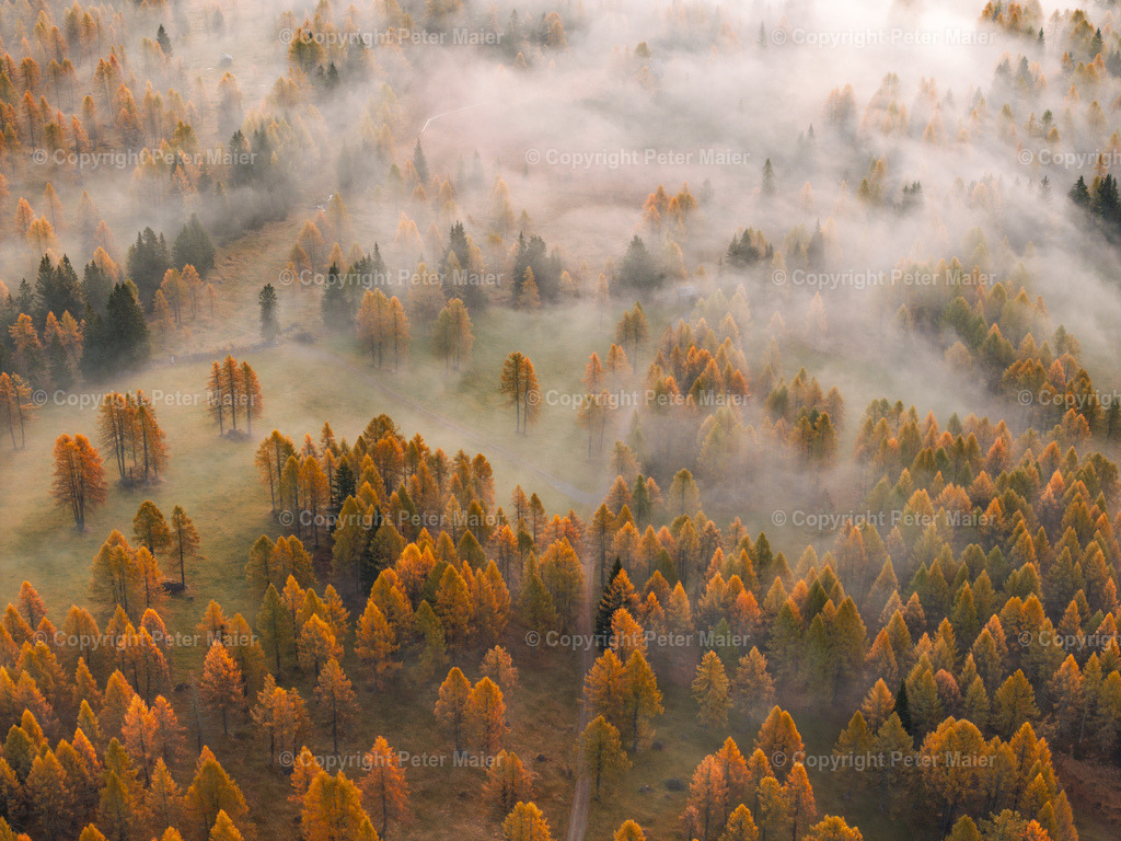Lesachtal_Herbst-52 | default