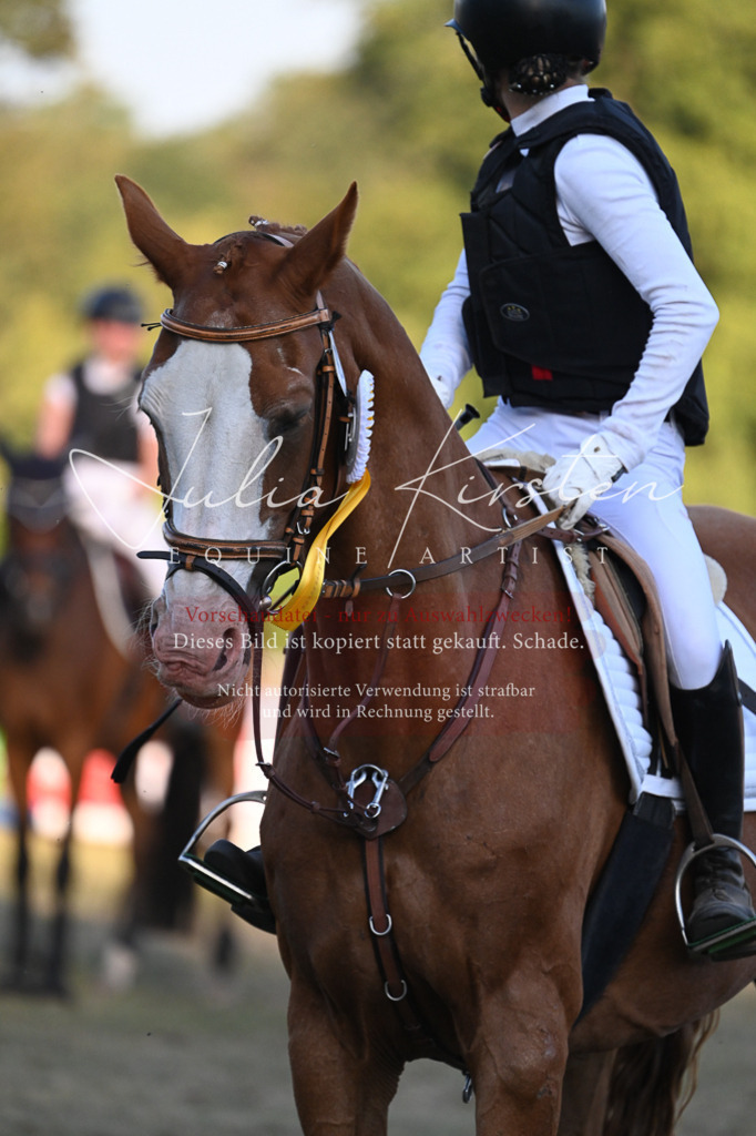DSC_9277 | Pferde- und Turnierfotografie in Westsachsen. Pferdeportraits, Auftragszeichnungen und intuitive Kunst.