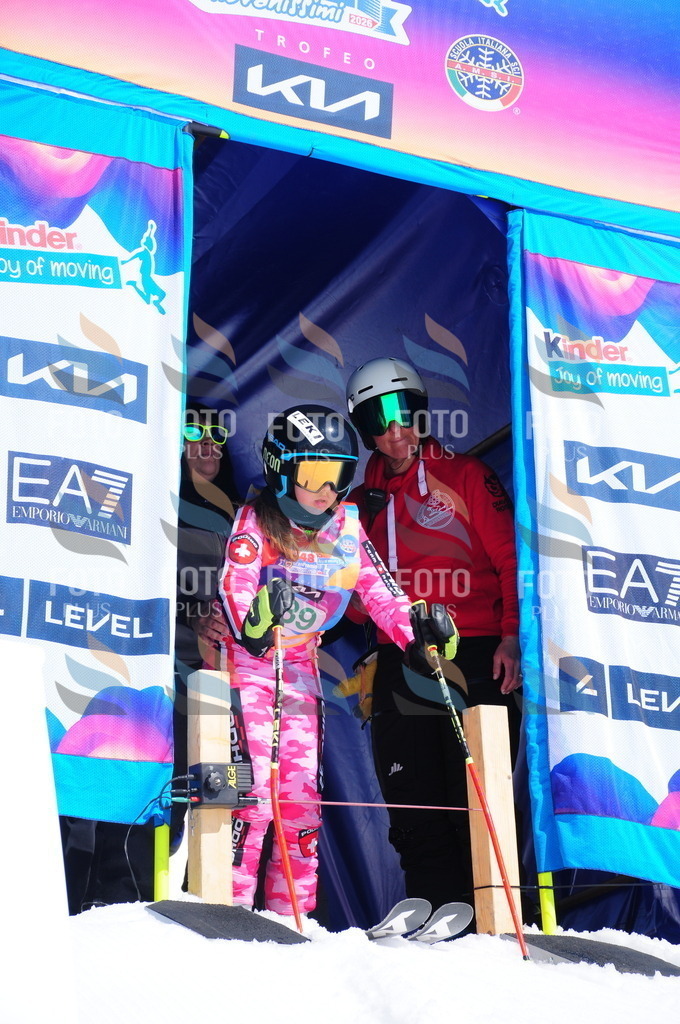 DSC_1179 | holidayphoto