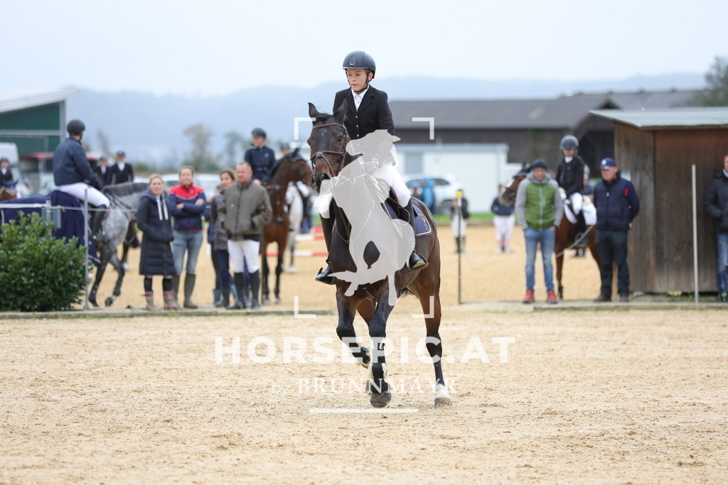 0P6A8260 | Willkommen bei Brunnmayr - Design & Fotografie – Ihrem Spezialisten für Reitturniere und Pferdeveranstaltungen in Oberösterreich, Salzburg und Bayern! Seit über 17 Jahren sind wir leidenschaftlich dabei.