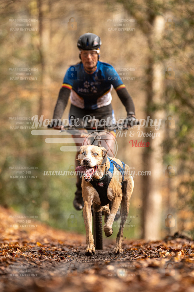 SPA_2023_DIM_Bike-65 | PayLife