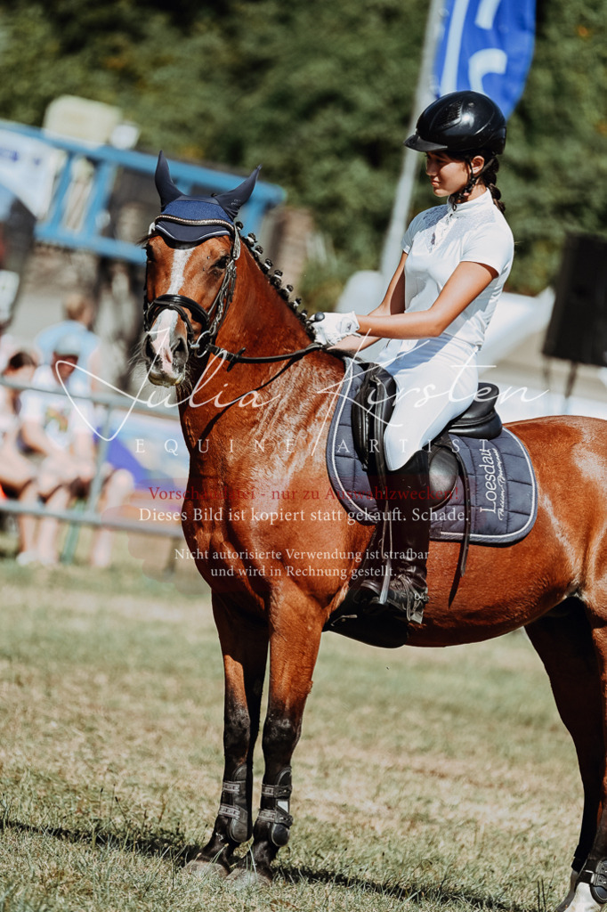 DSC_9881 | Pferde- und Turnierfotografie in Westsachsen. Pferdeportraits, Auftragszeichnungen und intuitive Kunst.