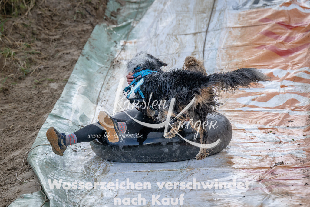 1618_ZZ94871 | kk-dogfotos