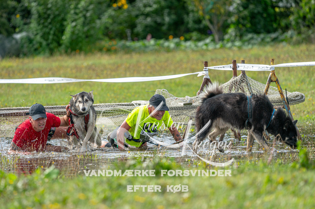1107STR_1901 | kk-dogfotos