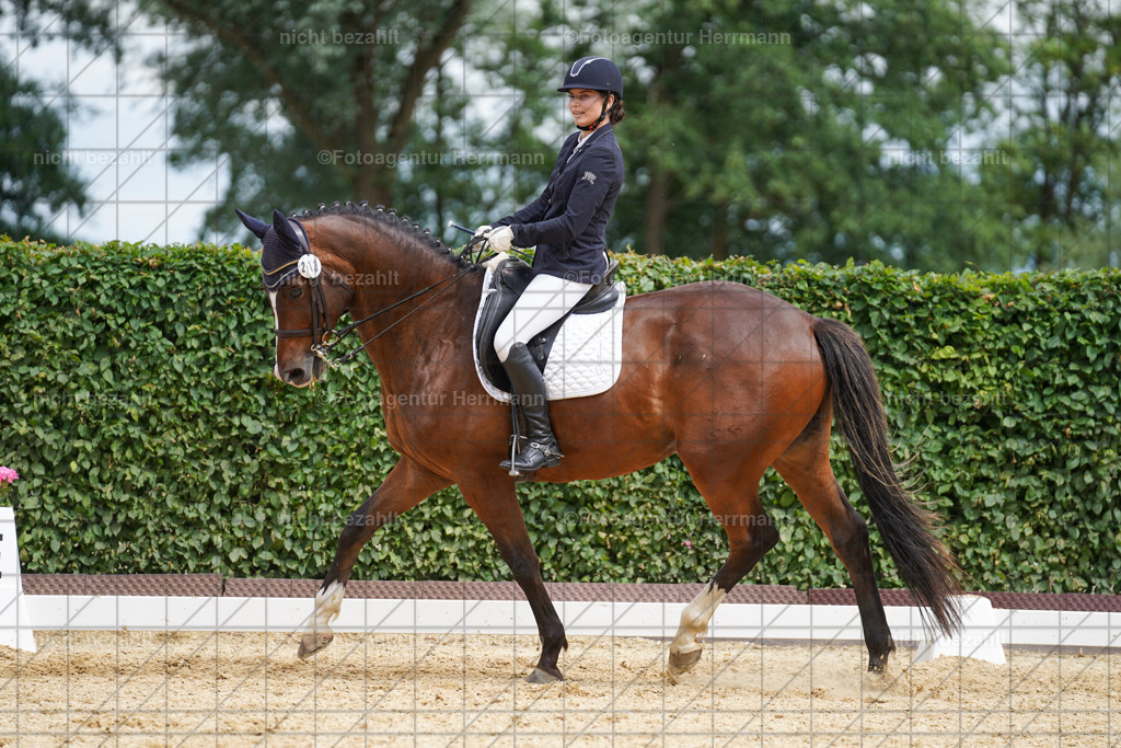 20240630-FAH02276 | Turnierbilder Schwabmünchen, Dressurbilder, Springreitturnier, Reitsportbilder, Turnierfotografen Bayern, Turnierfotograf