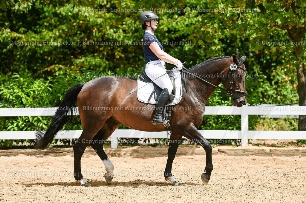 20230715_05_Dressurprüfung Kl.A++_0363 | equistock