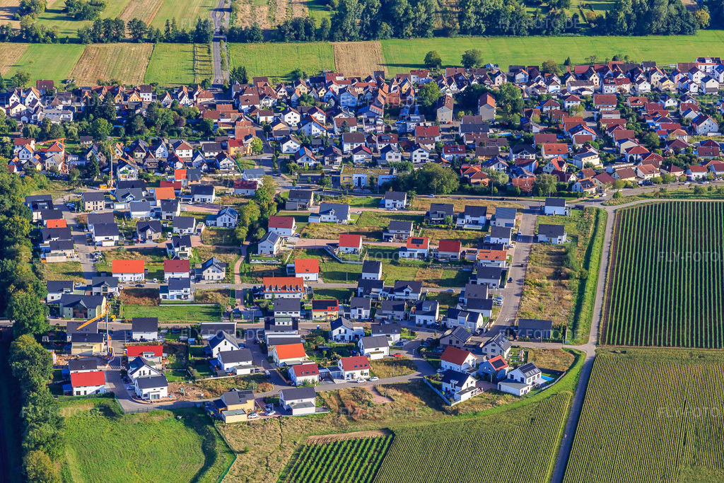 Luftbild: Neubaugebiet K2 von Norden mit Narzissen- und Sonnenblumenweg in Kandel im Bundesland Rheinland-Pfalz in Deutschland. Foto: IMG_149494.jpg vom 31.08.2025 durch Werner Riehm/FLY-FOTO.de