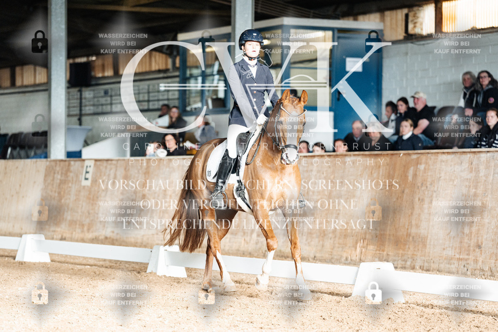CK903027 | Turnierfotografie Pferdefotografie Trier Rheinland-Pfalz Pferdesport Reitsport Tierfotografie Sportfotografie Pferdevideo Pferdevideografie Equestrianvideography equestrianphotography  - Realisiert mit Pictrs.com