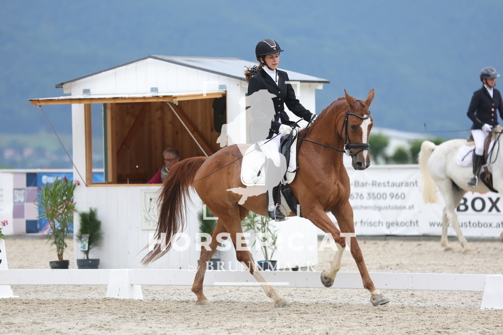 0P6A3634 | Willkommen bei Brunnmayr - Design & Fotografie – Ihrem Spezialisten für Reitturniere und Pferdeveranstaltungen in Oberösterreich, Salzburg und Bayern! Seit über 17 Jahren sind wir leidenschaftlich dabei.