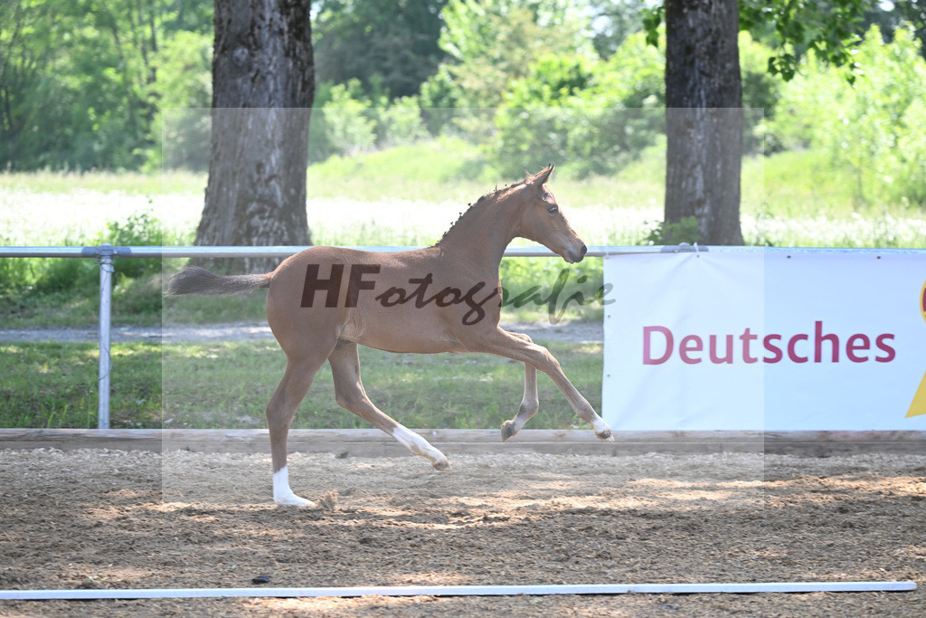 Kat-Nr. 9 SF Zenetti_Kirchmaier_14230235 | hf-fotografie - Realisiert mit Pictrs.com