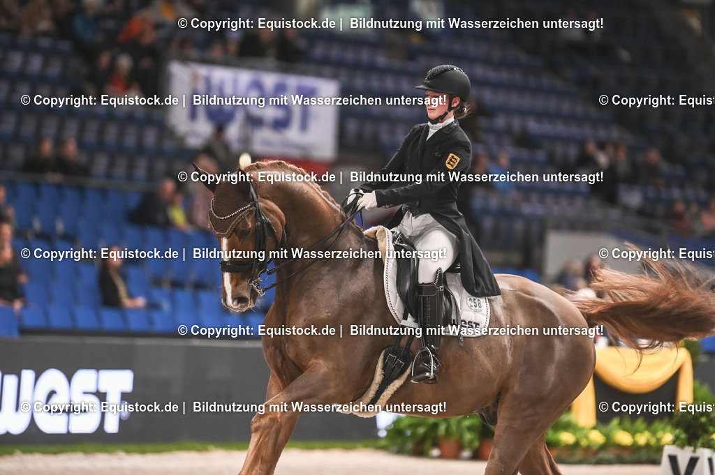 20231115_20_Dressur_Kl-S++_0173_TOMsPiC | Foto: Thomas Hartig