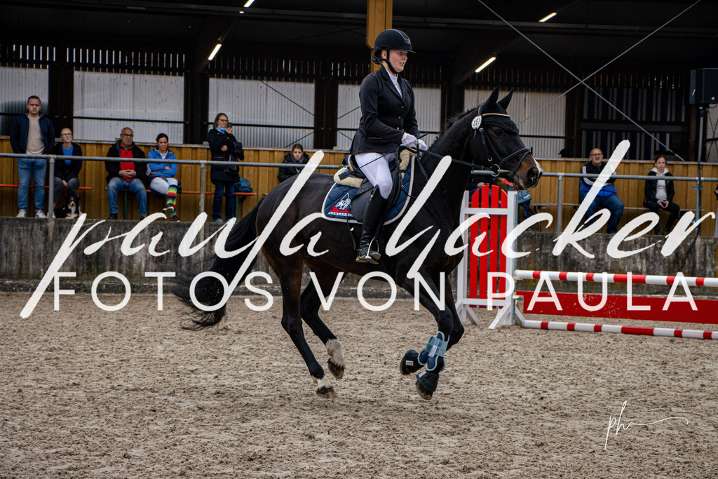 IMG_3758 | Erleben Sie dynamische Sport- und emotionale Tierfotografie in Süddeutschland mit Fotos von Paula. Spezialisiert auf Pferde- und Hundefotografie sowie Sportevents. Kontaktieren Sie mich für einzigartige und ausdrucksstarke Bilder Ihrer besonderen Momente. - Realisiert mit Pictrs.com