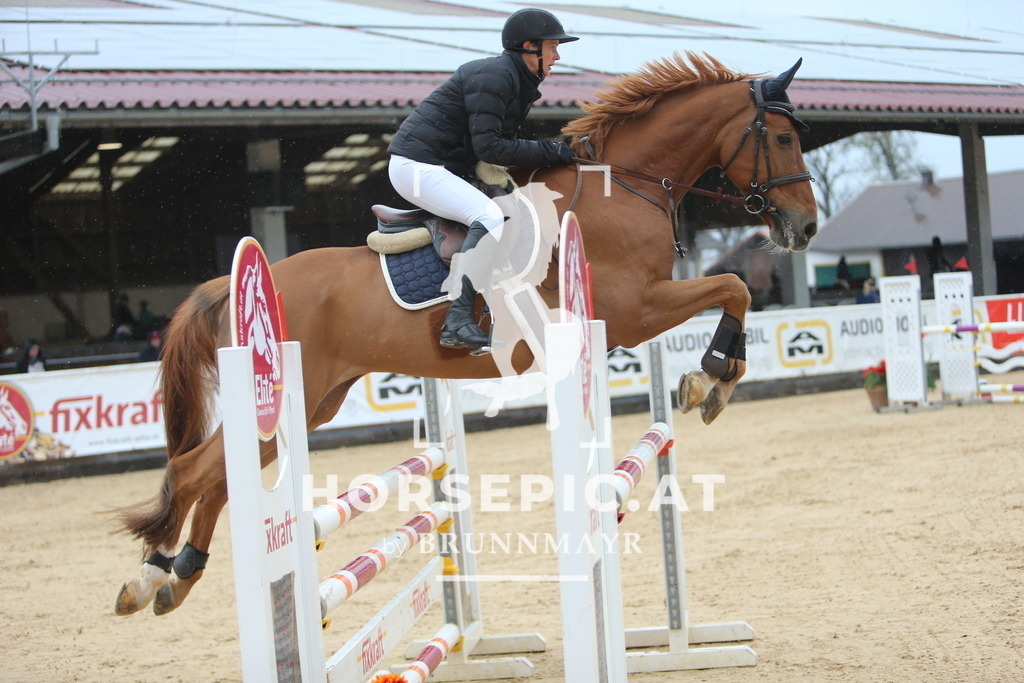 DL2Q6880 | Willkommen bei Brunnmayr - Design & Fotografie – Ihrem Spezialisten für Reitturniere und Pferdeveranstaltungen in Oberösterreich, Salzburg und Bayern! Seit über 17 Jahren sind wir leidenschaftlich dabei.