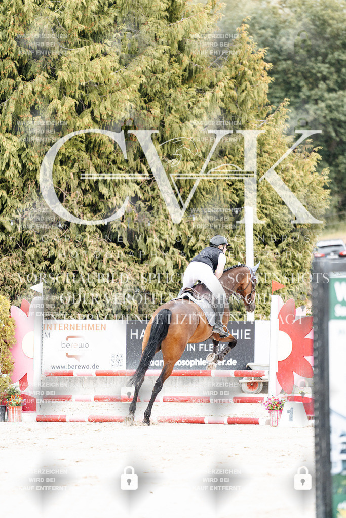 CK908012 | Turnierfotografie Pferdefotografie Trier Rheinland-Pfalz Pferdesport Reitsport Tierfotografie Sportfotografie Pferdevideo Pferdevideografie Equestrianvideography equestrianphotography  - Realisiert mit Pictrs.com