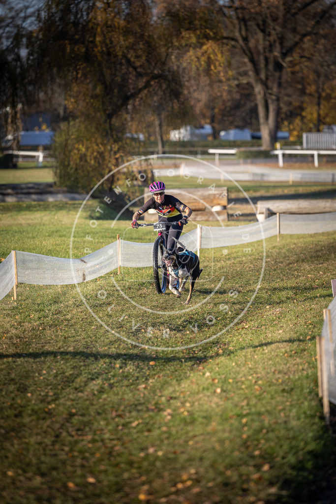 CaniXpix_DV3A1458 | Hundefotografie, Tierfotograf, Pfotenfotografie, Fotoshooting Hund, Hunde Portrait, Hundesport, Hundeportraits, Heideshooting, Hunde, Sportfotograf, Hundefotograf, Turnierhundsport, THS,  - Realisiert mit Pictrs.com