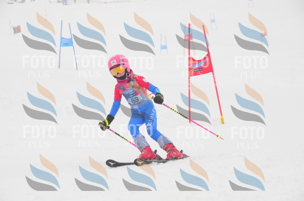 C1143 | holidayphoto