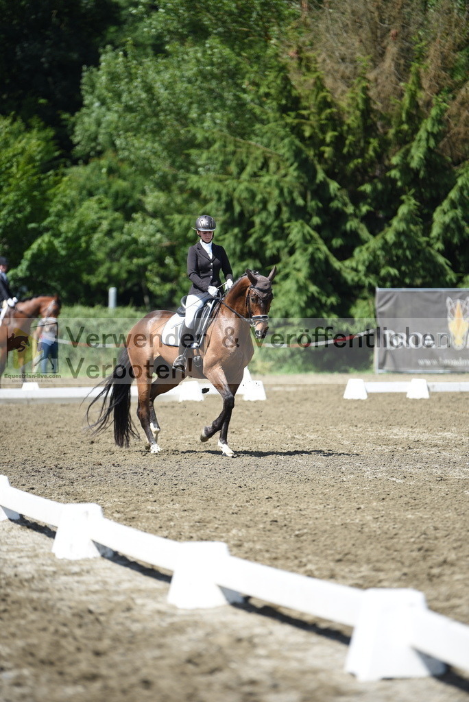 DSC_0369 | equestrian-live-com