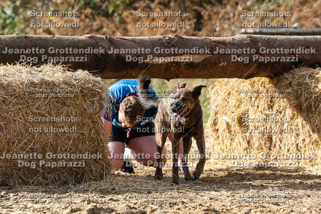 Dog Paparazzi - Strongdog 10-25-5408 | Dog Paparazzi Jeanette Grottendiek Fotografie & Videografie - Realisiert mit Pictrs.com