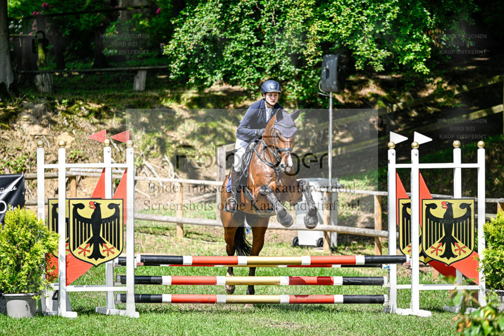 Bissendorfer Reitertage | Entdecke hochwertige Reitturnierfotos von Foto Oger. Professionell, emotional und authentisch – jetzt Lieblingsmomente im Shop bestellen. - Realisiert mit Pictrs.com
