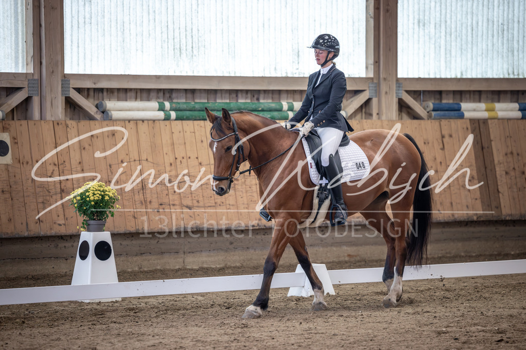 20251011-_3LI9349 | Tierfotografie Pferde, Hunde, Katzen, Haustiere.
Turnierfotografie Reitturniere, Reiten, Springreiten, Dressur in Hanau, dem Main-Kinzig-Kreis und dem Rhein-Main- Gebiet um Frankfurt