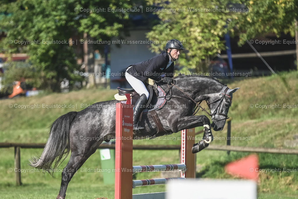20230908_14-15_Springpferde-A_0082 | equistock