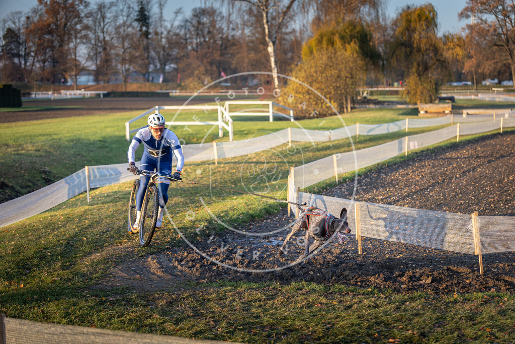 CaniXpix_DV3A9501 | Hundefotografie, Tierfotograf, Pfotenfotografie, Fotoshooting Hund, Hunde Portrait, Hundesport, Hundeportraits, Heideshooting, Hunde, Sportfotograf, Hundefotograf, Turnierhundsport, THS,  - Realisiert mit Pictrs.com