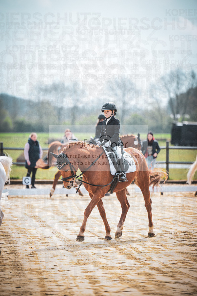DOS_5075 | Entdecke hochwertige Reitturnierfotos von Foto Oger. Professionell, emotional und authentisch – jetzt Lieblingsmomente im Shop bestellen.Deutschlandweite Turnierfotografie. - Realisiert mit Pictrs.com