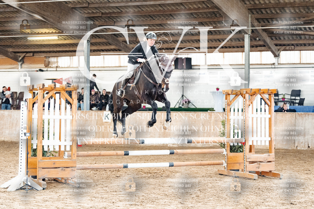 CK904163 | Turnierfotografie Pferdefotografie Trier Rheinland-Pfalz Pferdesport Reitsport Tierfotografie Sportfotografie Pferdevideo Pferdevideografie Equestrianvideography equestrianphotography  - Realisiert mit Pictrs.com