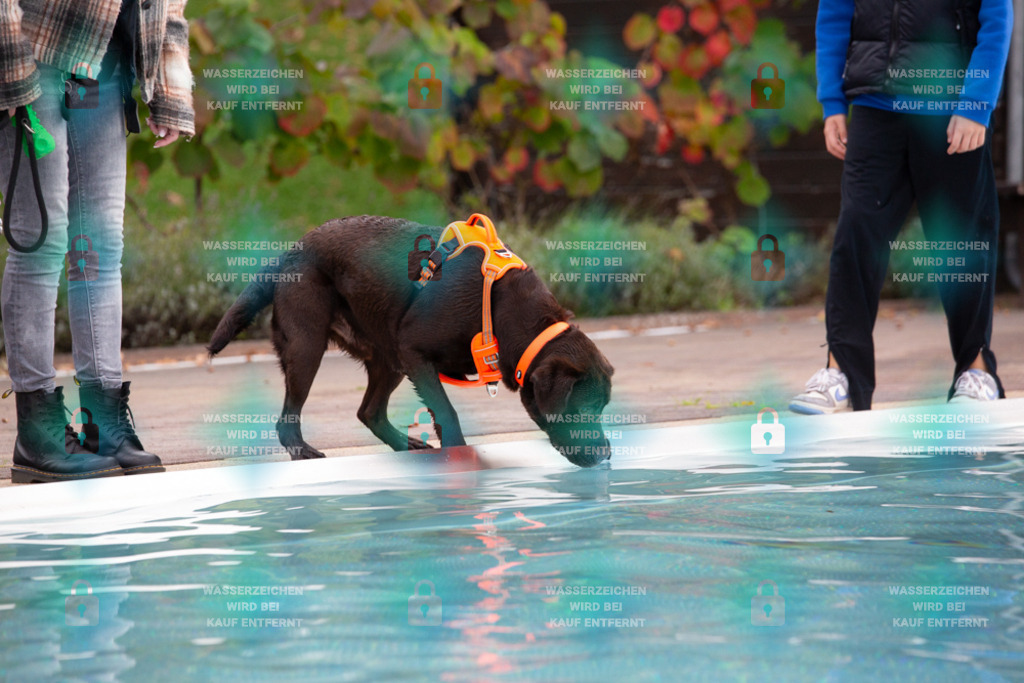 _HP_7557_1000o | HetPix, HetPix Fotodesign, Fotografie, Fotodesign, Webshop, Sportfotografie, Portraitfotografie, Onlineshop, Sportfotografie, Polch, Motorsportfotografie, Eventfotografie