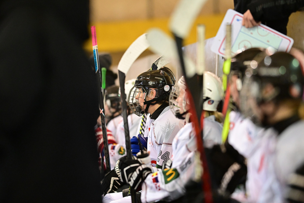 Eishockey I Frauen I Saison 2023-2024 I 1. Frauenliga Nordost I Hamburger SV - REV Bremerhaven | Der Sportfotograf. - Realisiert mit Pictrs.com