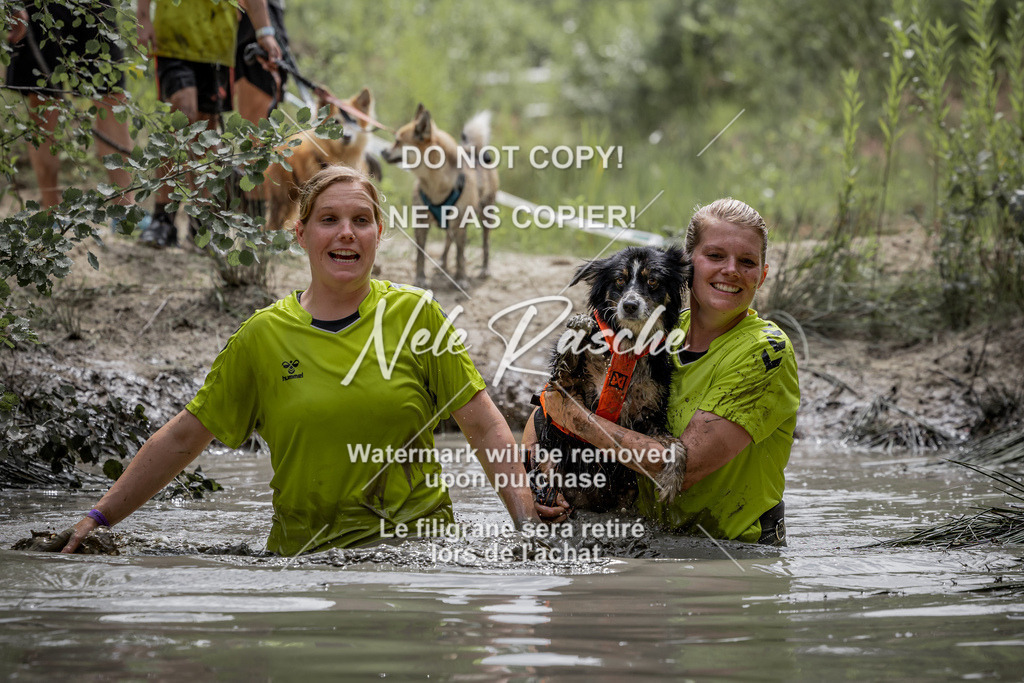 nelerasche_so1330-1400_143 | nelerasche